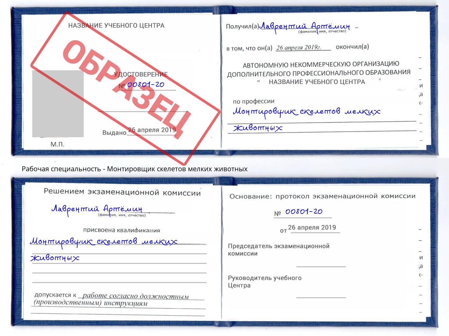 Монтировщик скелетов мелких животных Верхняя Пышма