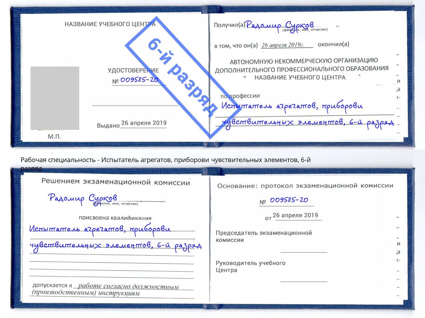 корочка 6-й разряд Испытатель агрегатов, приборови чувствительных элементов Верхняя Пышма