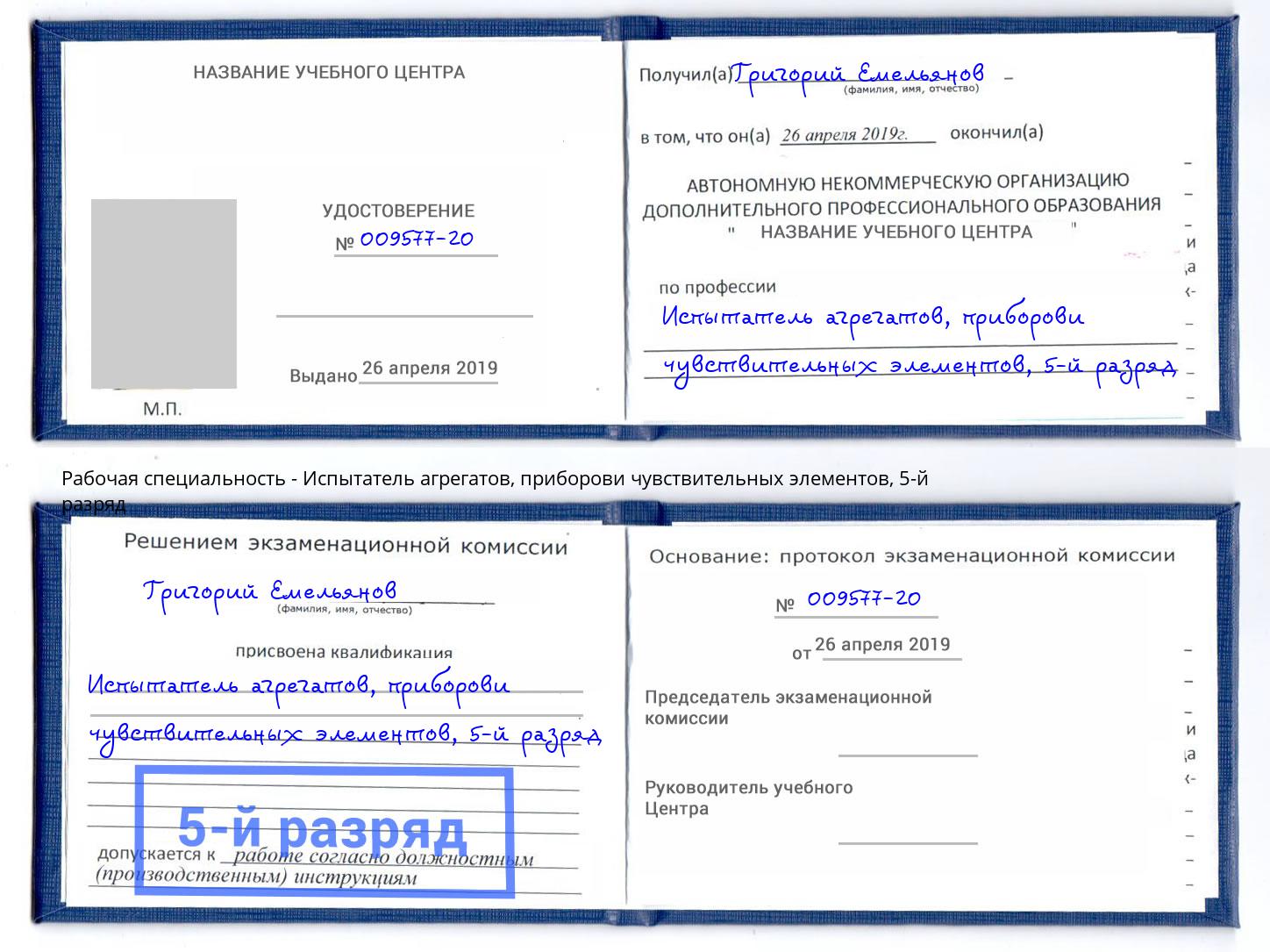 корочка 5-й разряд Испытатель агрегатов, приборови чувствительных элементов Верхняя Пышма